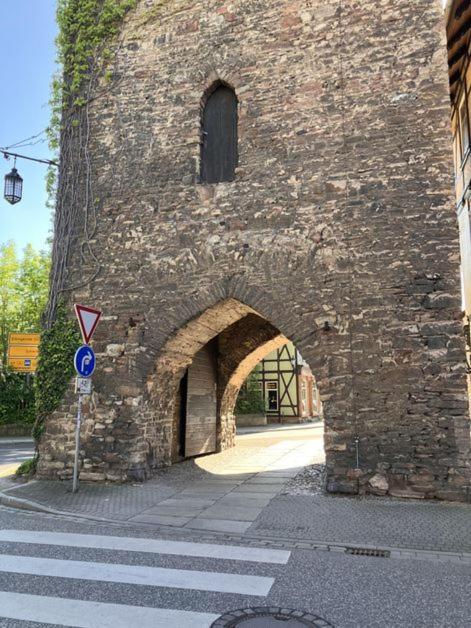 Castrum Visum فيرنغروده المظهر الخارجي الصورة